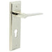 Stylish Euro Backplate Door Handle Polished Nickel Solid Brass Interior Handle