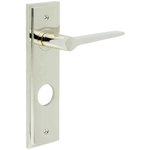 Polished Nickel Door Handle with Backplate Bathrooms Solid Brass Interior Handle (1)