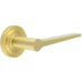Elegant Satin Brass Door Handle Stepped Rose Modern Traditional Interiors Solid Brass Interior Handle
