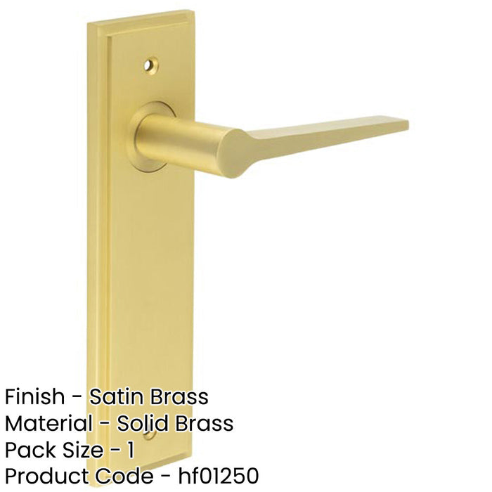 Satin Brass Door Handle Latch Backplate Modern Homes Solid Brass Interior Handle-1