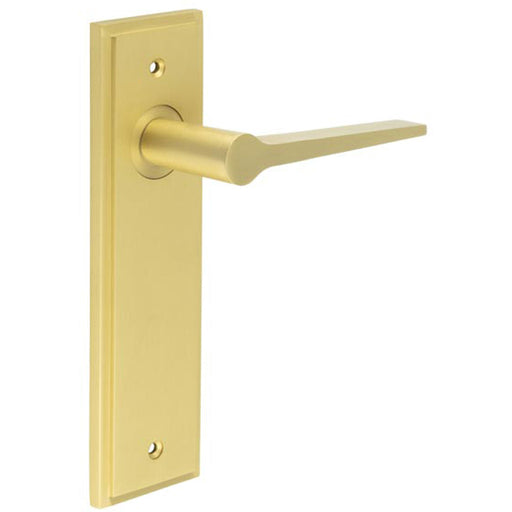 Satin Brass Door Handle Latch Backplate Modern Homes Solid Brass Interior Handle