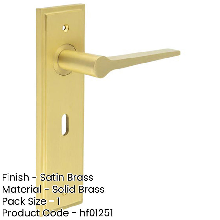 Elegant Satin Brass Door Handle Lock Backplate Modern Homes Solid Brass Interior Handle-1