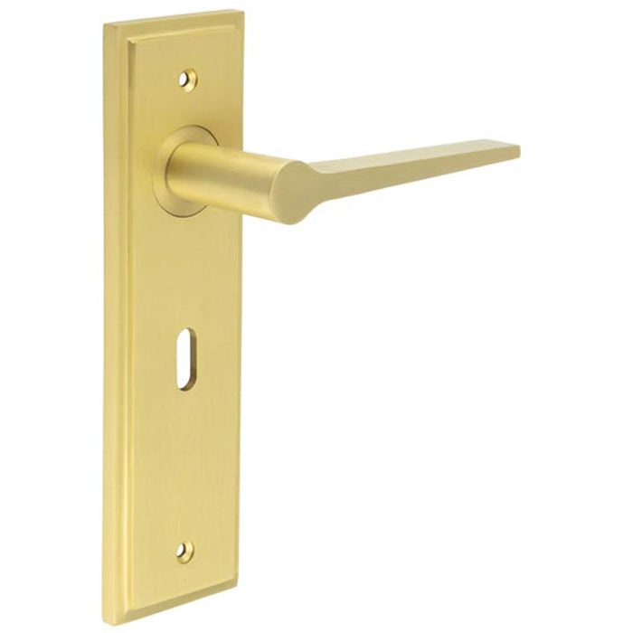 Elegant Satin Brass Door Handle Lock Backplate Modern Homes Solid Brass Interior Handle