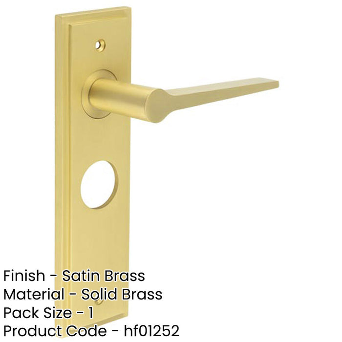 Satin Brass Bathroom Door Handle with Backplate Modern Homes Solid Brass Interior Handle-1