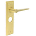 Satin Brass Bathroom Door Handle with Backplate Modern Homes Solid Brass Interior Handle