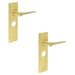 PACK Satin Brass Bathroom Door Handle with Backplate Modern Homes Solid Brass Interior Handle (1)