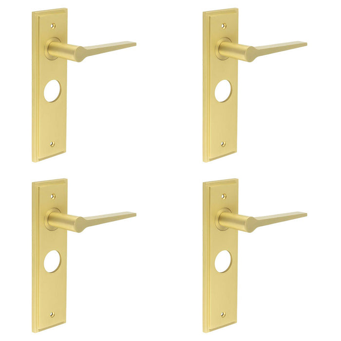 PACK Satin Brass Bathroom Door Handle with Backplate Modern Homes Solid Brass Interior Handle