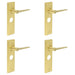 PACK Satin Brass Bathroom Door Handle with Backplate Modern Homes Solid Brass Interior Handle