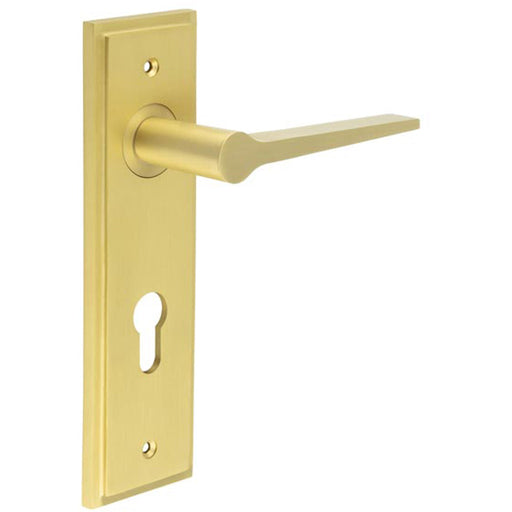 Satin Brass Euro Backplate Door Handle Elegant Durable Solid Brass Interior Handle