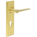 Satin Brass Euro Backplate Door Handle Elegant Durable Solid Brass Interior Handle