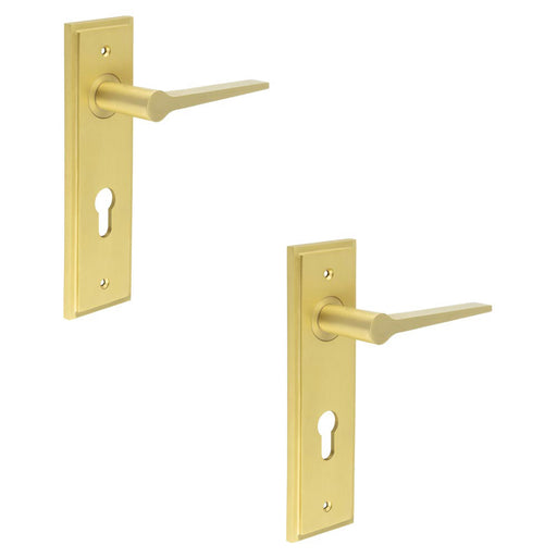 PACK Satin Brass Euro Backplate Door Handle Elegant Durable Solid Brass Interior Handle (1)