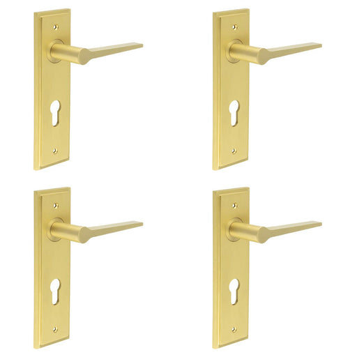 PACK Satin Brass Euro Backplate Door Handle Elegant Durable Solid Brass Interior Handle