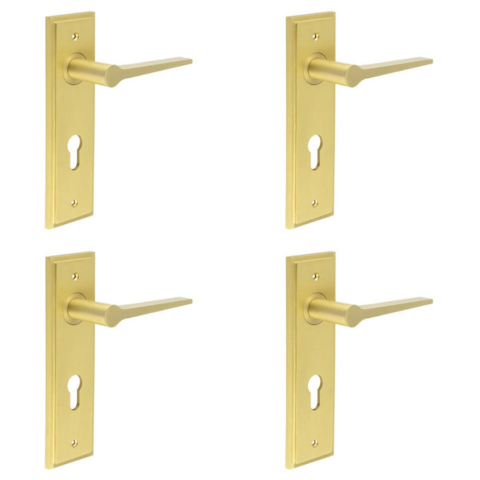 PACK Satin Brass Euro Backplate Door Handle Elegant Durable Solid Brass Interior Handle