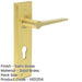 Elegant Satin Brass Door Handle with Euro Backplate Solid Brass Interior Handle-1