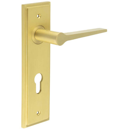 Elegant Satin Brass Door Handle with Euro Backplate Solid Brass Interior Handle