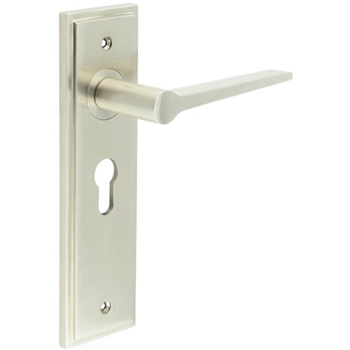 Satin Nickel Euro Backplate Door Handle Modern Homes Solid Brass Interior Handle