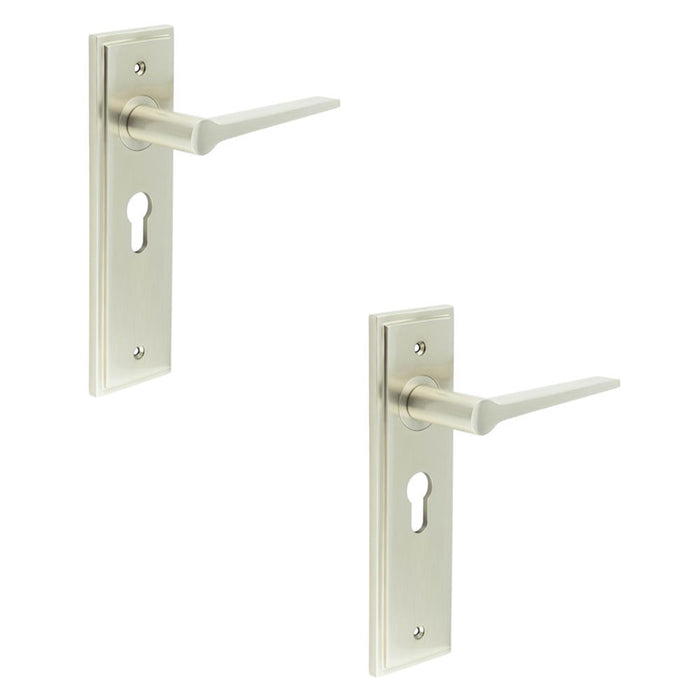 PACK Satin Nickel Euro Backplate Door Handle Modern Homes Solid Brass Interior Handle (1)