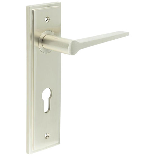 Elegant Satin Nickel Door Handle with Euro Backplate Modern Homes Solid Brass Interior Handle