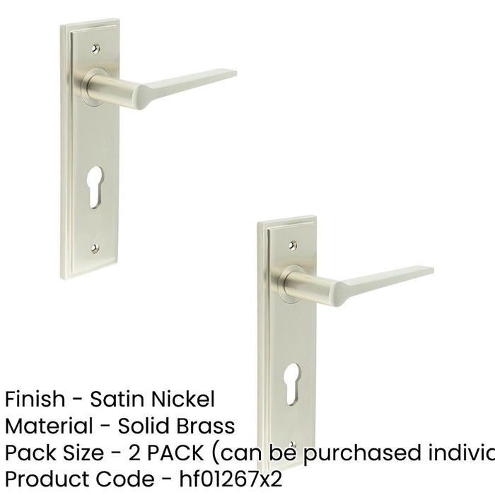 PACK Elegant Satin Nickel Door Handle with Euro Backplate Modern Homes Solid Brass Interior Handle (1)-1