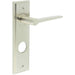 Satin Nickel Bathroom Door Handle with Backplate Modern Brass Lever Design Solid Brass Interior Handle