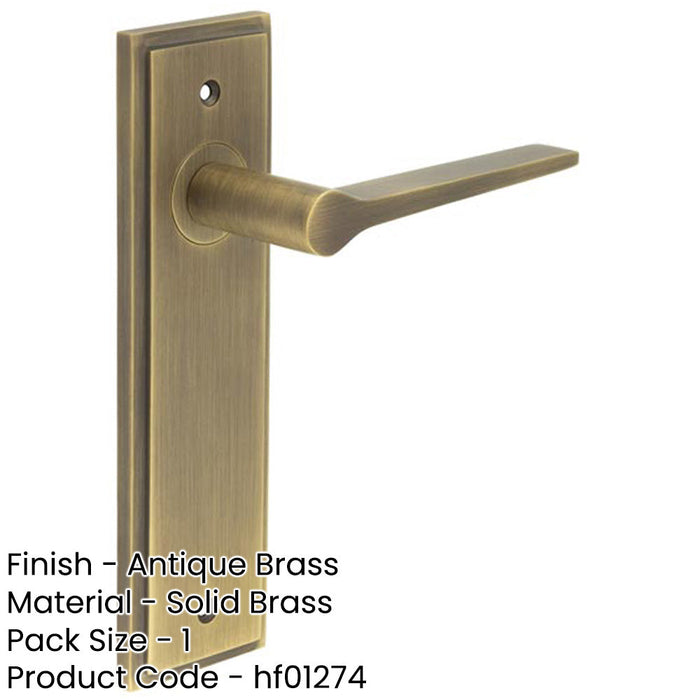 Elegant Antique Brass Door Handle Latch Backplate Modern Homes Solid Brass Interior Handle-1