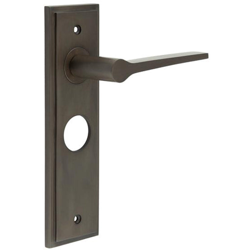 Luxurious Dark Bronze Bathroom Door Handle with Backplate Solid Brass Interior Handle (1)