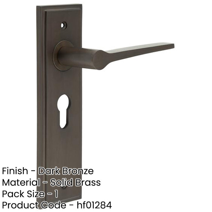 Luxurious Dark Bronze Euro Backplate Door Handle Solid Brass Interior Handle-1