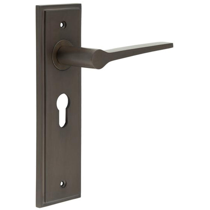 Luxurious Dark Bronze Euro Backplate Door Handle Solid Brass Interior Handle