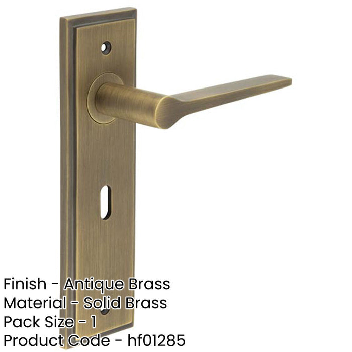 Elegant Antique Brass Door Handle Lock Backplate Modern Homes Solid Brass Interior Handle-1