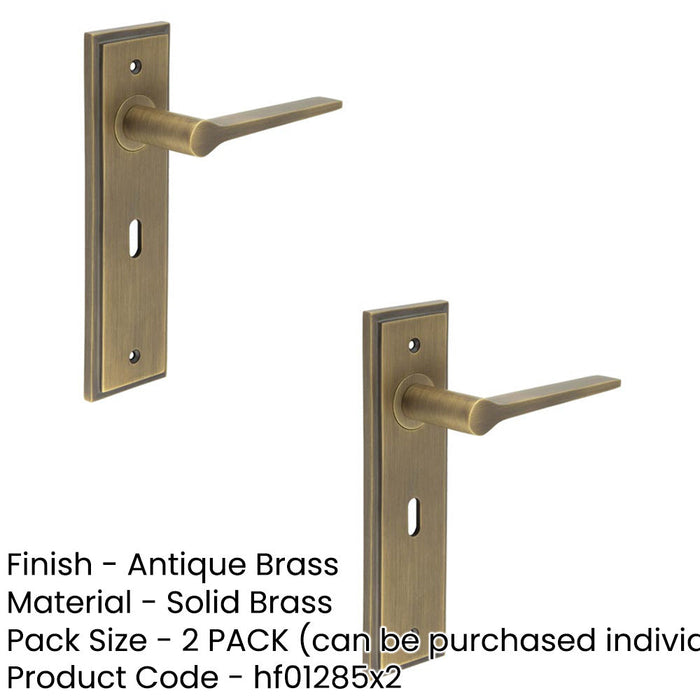PACK Elegant Antique Brass Door Handle Lock Backplate Modern Homes Solid Brass Interior Handle (1)-1