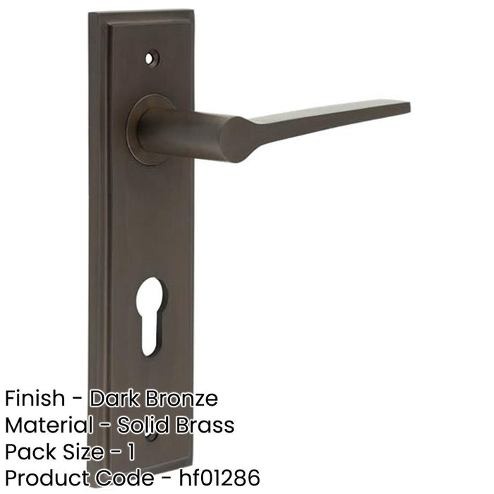 Elegant Dark Bronze Euro Backplate Door Handle Solid Brass Interior Handle-1