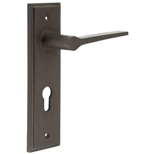 Elegant Dark Bronze Euro Backplate Door Handle Solid Brass Interior Handle