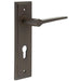 Elegant Dark Bronze Euro Backplate Door Handle Solid Brass Interior Handle