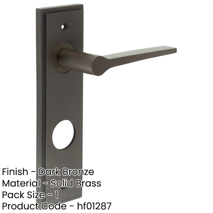 Luxurious Dark Bronze Bathroom Door Handle with Backplate Solid Brass Interior Handle (2)-1