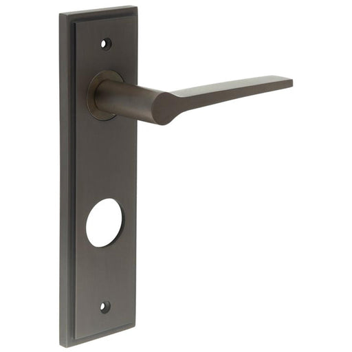 Luxurious Dark Bronze Bathroom Door Handle with Backplate Solid Brass Interior Handle (2)