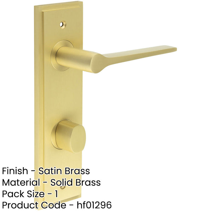 Elegant Satin Brass Door Handle with Backplate Bathrooms Solid Brass Interior Handle-1