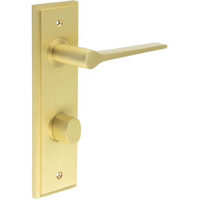 Elegant Satin Brass Door Handle with Backplate Bathrooms Solid Brass Interior Handle