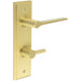 Satin Brass Bathroom Door Handle with Backplate Turn Release Solid Brass Interior Handle (2)