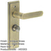 Antique Brass Bathroom Door Handle with Turn Release Mechanism Solid Brass Interior Handle (1)-1