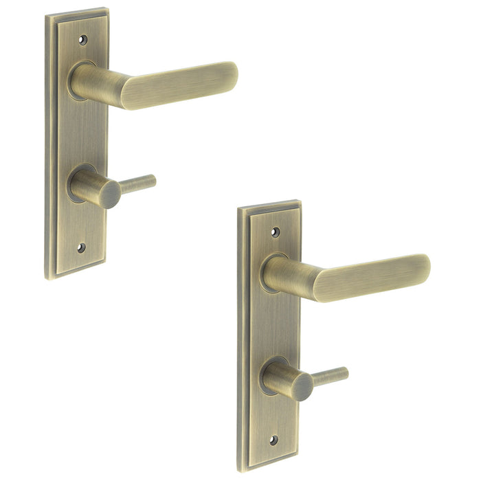 PACK Antique Brass Door Handle with Backplate Bathrooms Solid Brass Interior Handle (5)