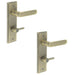 PACK Antique Brass Door Handle with Backplate Bathrooms Solid Brass Interior Handle (5)