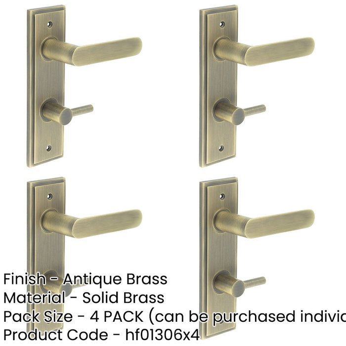 PACK Antique Brass Door Handle with Backplate Bathrooms Solid Brass Interior Handle (2)-1