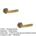 PACK Antique Brass Plain Rose Door Handle Stylish Homes Solid Brass Interior Handle (1)-1