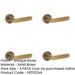 PACK Antique Brass Plain Rose Door Handle Stylish Homes Solid Brass Interior Handle-1
