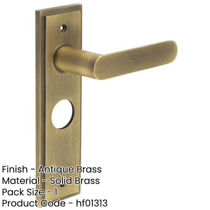 Antique Brass Door Handle with Elegant Backplate Bathrooms Solid Brass Interior Handle-1