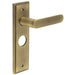 Antique Brass Door Handle with Elegant Backplate Bathrooms Solid Brass Interior Handle