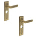 PACK Antique Brass Door Handle with Elegant Backplate Bathrooms Solid Brass Interior Handle (1)