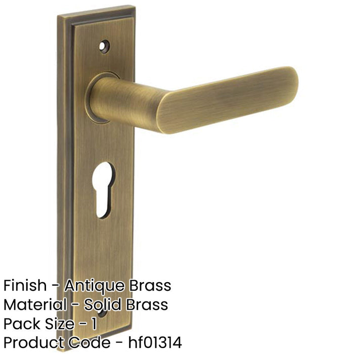 Antique Brass Euro Backplate Door Handle Premium Quality Solid Brass Interior Handle-1