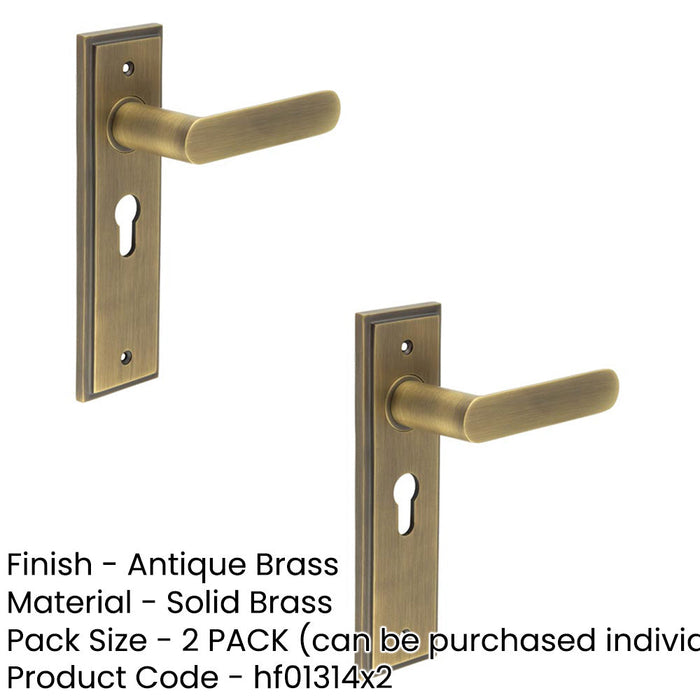 PACK Antique Brass Euro Backplate Door Handle Premium Quality Solid Brass Interior Handle (1)-1