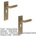 PACK Antique Brass Euro Backplate Door Handle Premium Quality Solid Brass Interior Handle (1)-1